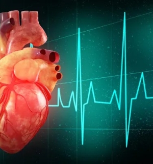 Bem Estar: Saúde do coração