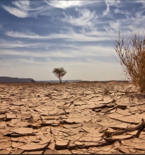 Região sul do pais registou o maior período de seca em 40 anos
