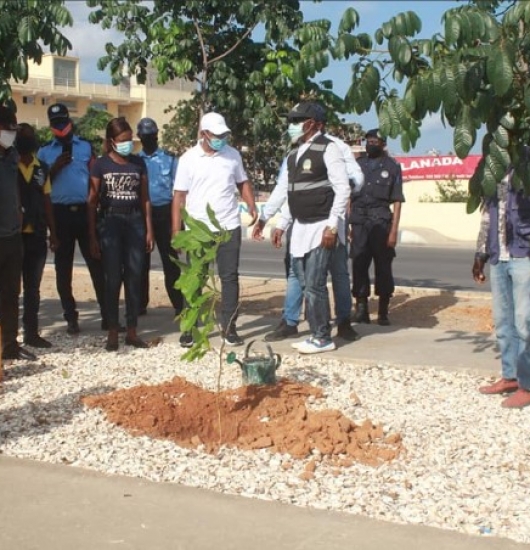 Arborização em Luanda