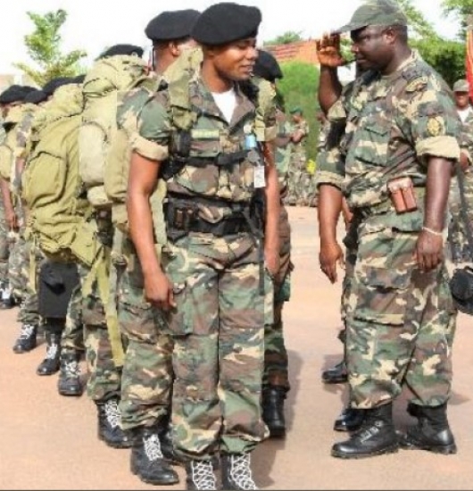 Envio de Contingente Militar a RDC