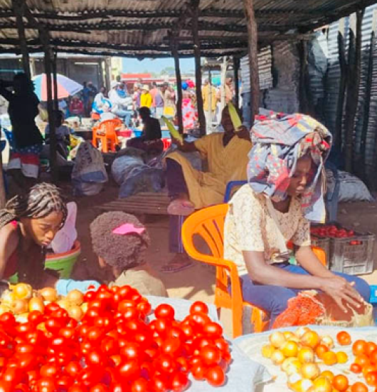 Escassez de tomate eleva preço no mercado informal de Ondjiva.