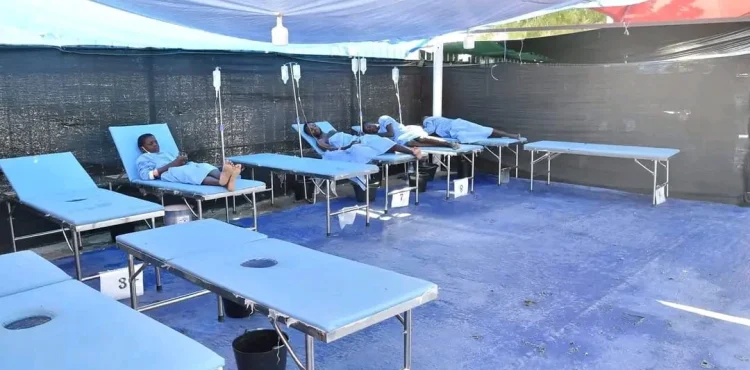 Cólera ultrapassa os 16 mil casos