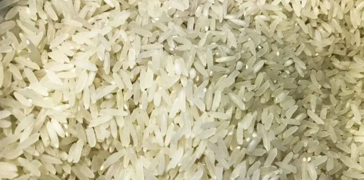 Província do Bié acolhe VI edição da Feira do Arroz