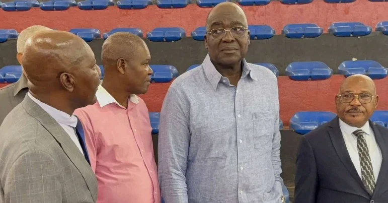 Presidente da Confederação Africana de Andebol almeja pódio mundial para Angola.