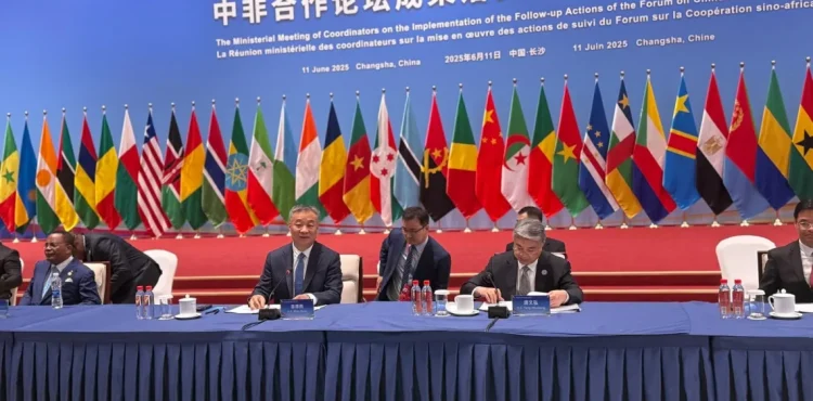China e África reafirmam parceria estratégica.