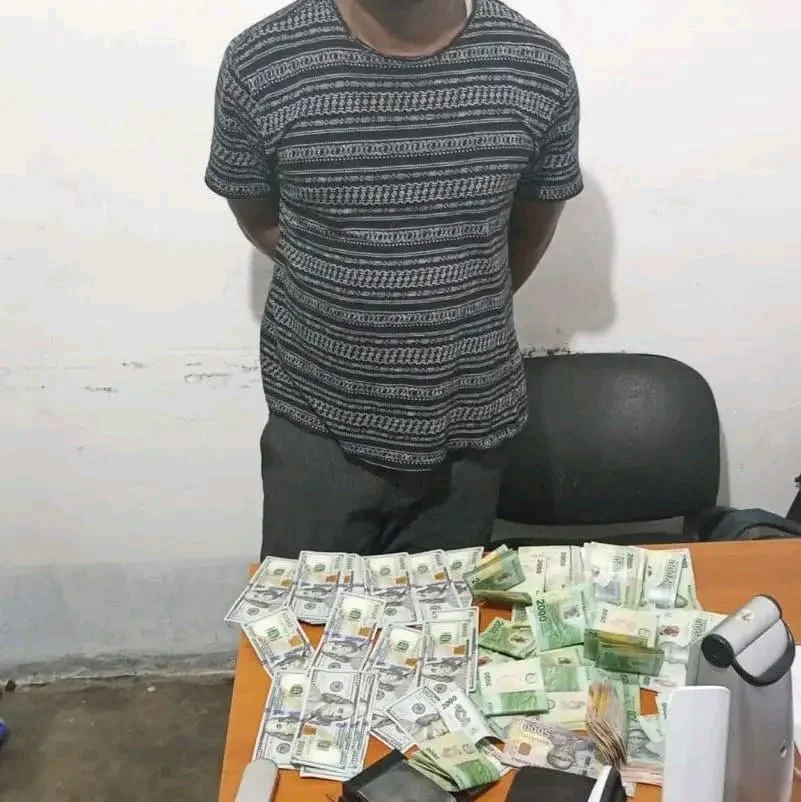 detido cidadão ilegal,