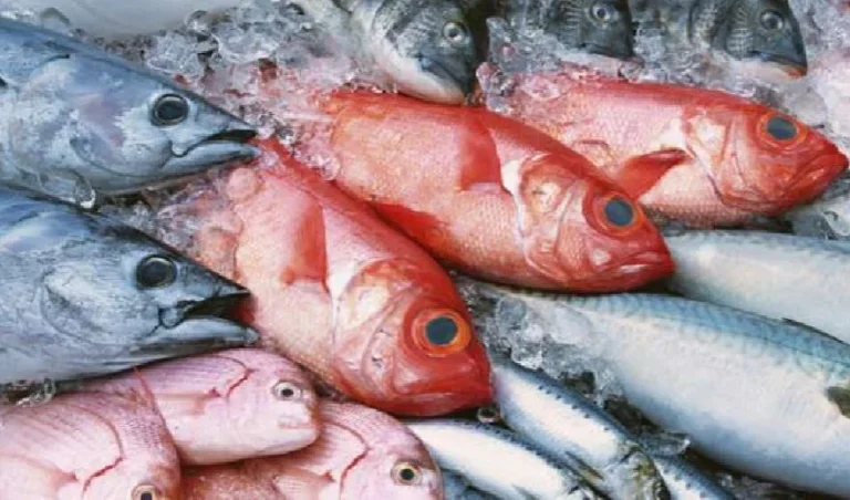 Ministra das Pescas rejeita venda de duas empresas do sector