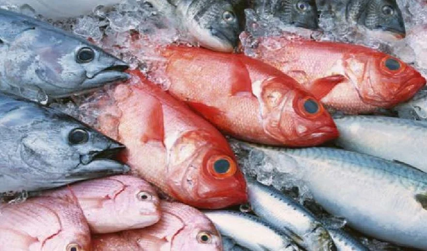 Ministra das Pescas rejeita venda de duas empresas do sector