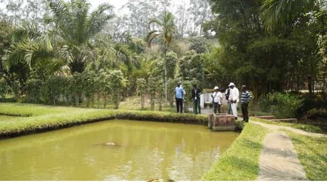Fórum de negócios e conectividade expõe potencial turístico e urbano do Resort Mawete e da Fazenda MRC