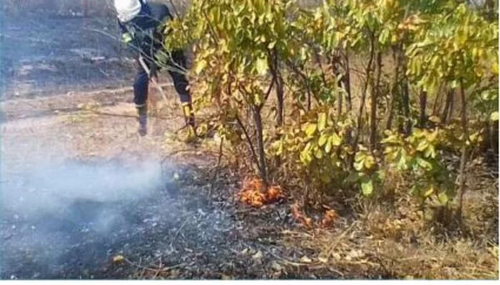 Duas crianças de dois anos gravemente feridas em incêndio na Caála
