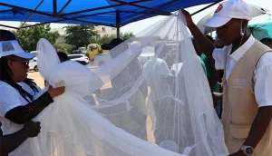 Minsa distribuir mosquiteiros