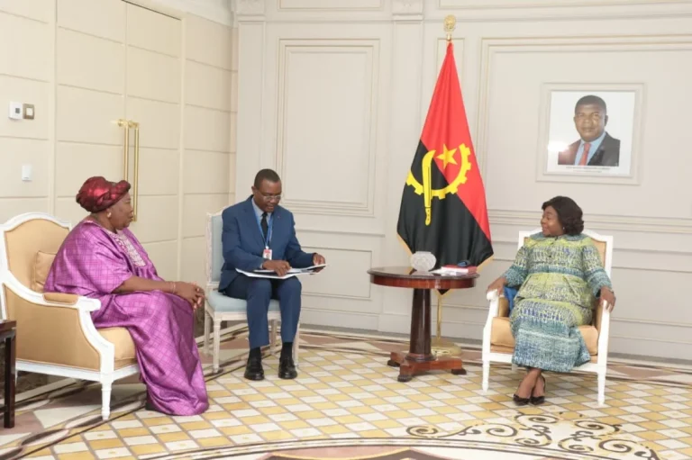 Organização Pan-Africana da Mulher reúne em Dezembro cerca de 200 delegadas em Luanda