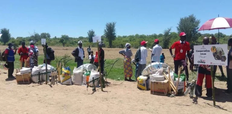 Chibia distribui mais de sete mil toneladas de insumos agrícolas para reforçar agricultura familiar