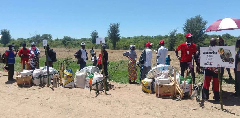 Chibia distribui mais de sete mil toneladas de insumos agrícolas para reforçar agricultura familiar