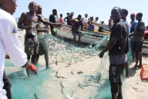Vilas piscatórias reanimam esperança de pescadores da costa sul de Luanda