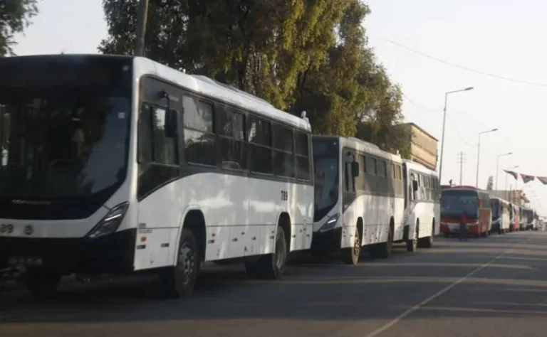 Governo “deixa cair” privados na atribuição de autocarros para serviço público