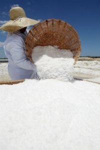 exportação de sal marinho
