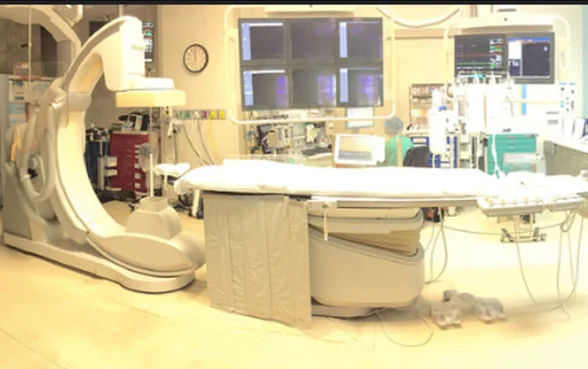 Saúde recebe “luz verde” para dar início ao programa de capacitação em Neurorradiologia de Intervenção