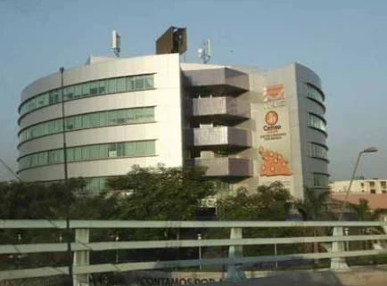 Comportamento da economia Angolana.