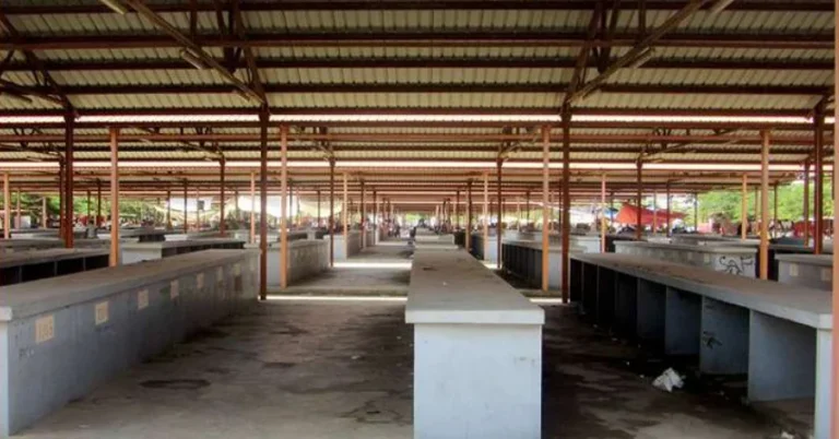 Mais de 50 mil vagas estão disponíveis nos mais de 160 mercados de Luanda.