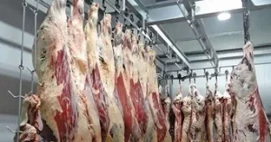 Huíla atinge mais de 1 milhão de kg de carne bovina.