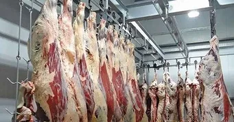 Huíla atinge mais de 1 milhão de kg de carne bovina.