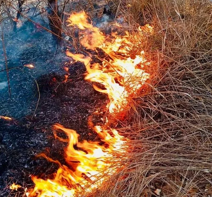 Incêndio atinge 50 hectares do Parque Nacional da Quiçama.