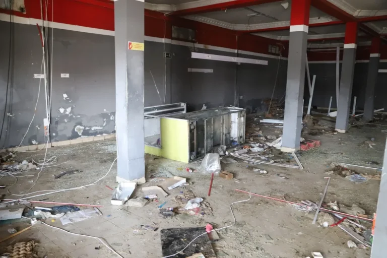 Empresas falsificam documentos para ter acesso ao crédito.