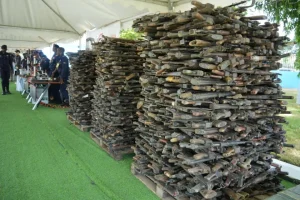 Recolha de mais de 30 mil armas de fogo de empresas de segurança reduz 18 por cento dos crimes