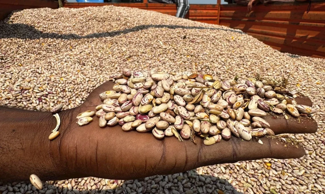 Congoleses pagam toneladas de feijão com dinheiro falso em Benguela