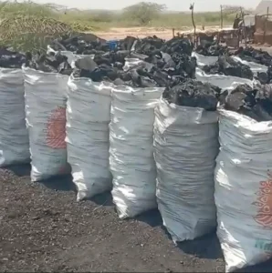 Mais de cinco mil sacos de carvão apreendidos em Malanje no quadro do combate contra os crimes ambientais