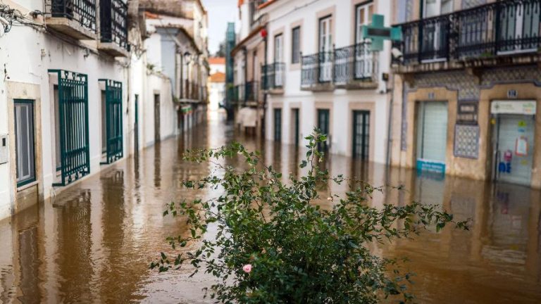 O novo Presidente de Portugal, António José Seguro, mostrou solidariedade com as vitimas causadas pela catástrofe que atingiu o país.