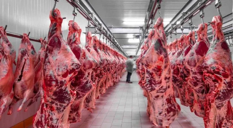 Ministro da Agricultura promete “dificultar” importação de carne mas rejeita cenário de substituição