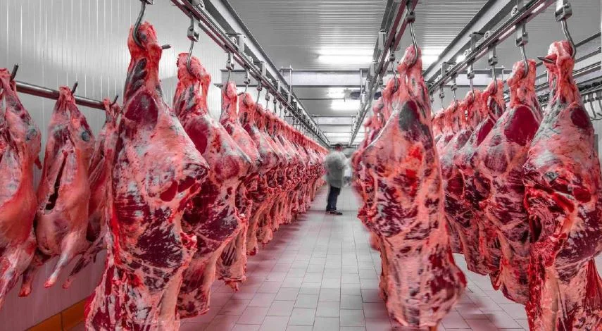 Ministro da Agricultura promete “dificultar” importação de carne mas rejeita cenário de substituição