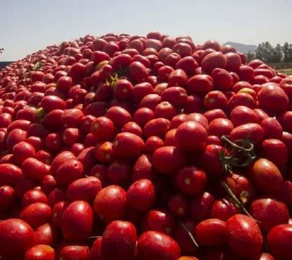 Reabilitação dos canais de irrigação do Dombe Grande com financiamento garantido.
