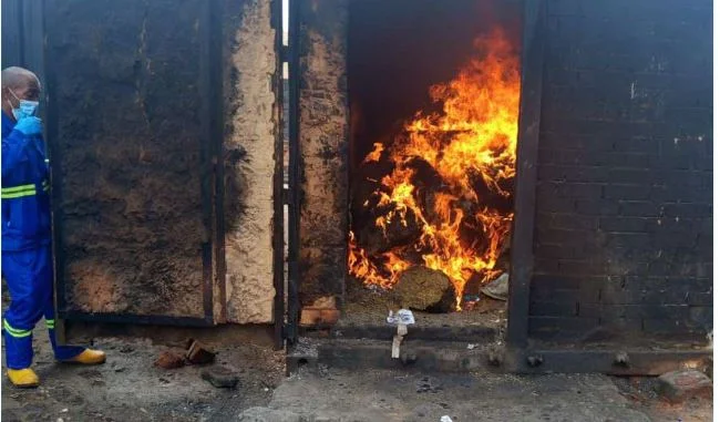 SIC incinera mais de uma tonelada de liamba nos Mulenvos