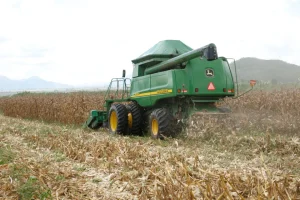 Indústria extractiva regista um crescimento de 46,2% em Março de 2026.