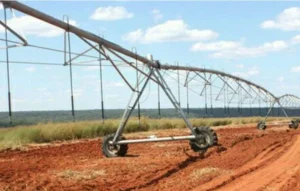 Governo quer ver perímetro irrigado de Caxito mais explorado e produtivo